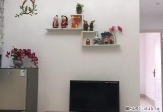 个人!市中心好停车!中建附近华辰汇景一室一厅带天然气无中介费 - 衡阳28生活网 hy.28life.com