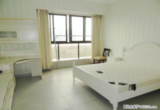 华新一中对面，明兴翰苑小区，精装修一室一厅。 - 衡阳28生活网 hy.28life.com