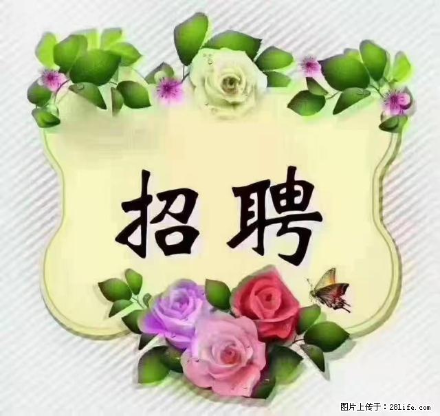 【招聘】住家育儿嫂，上户日期：4月4日，工作地址：上海 黄浦区 - 职场交流 - 衡阳生活社区 - 衡阳28生活网 hy.28life.com