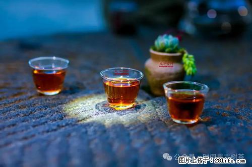 时间果百年古树2025年春红茶 - 购物交流 - 衡阳生活社区 - 衡阳28生活网 hy.28life.com