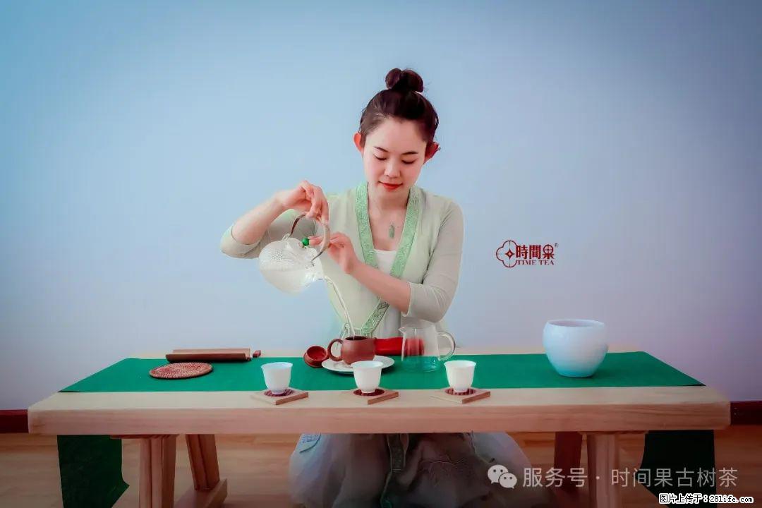 时间果百年古树龙珠普洱生茶 - 购物交流 - 衡阳生活社区 - 衡阳28生活网 hy.28life.com