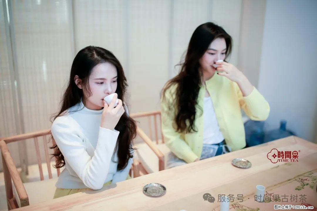 时间果百年古树龙珠普洱生茶 - 购物交流 - 衡阳生活社区 - 衡阳28生活网 hy.28life.com