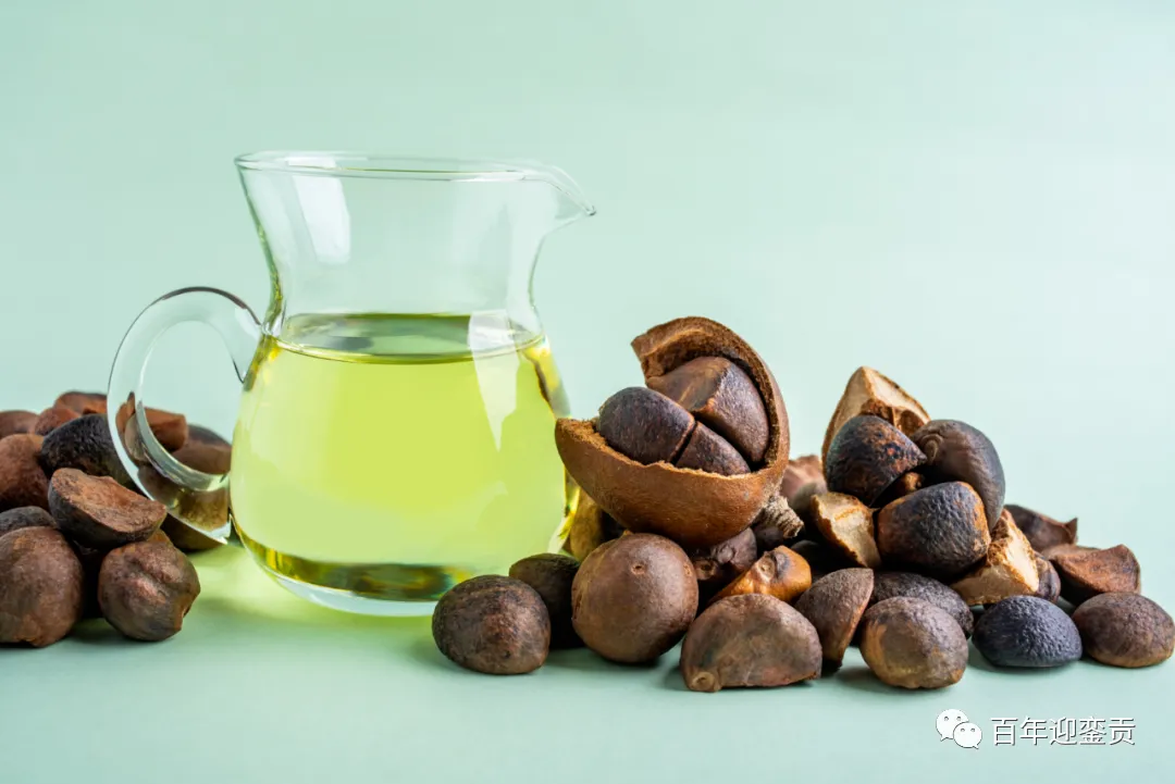 世界没有真相,只有认知,最好的食用油是中国的山茶油! - 衡阳生活资讯 - 衡阳28生活网 hy.28life.com