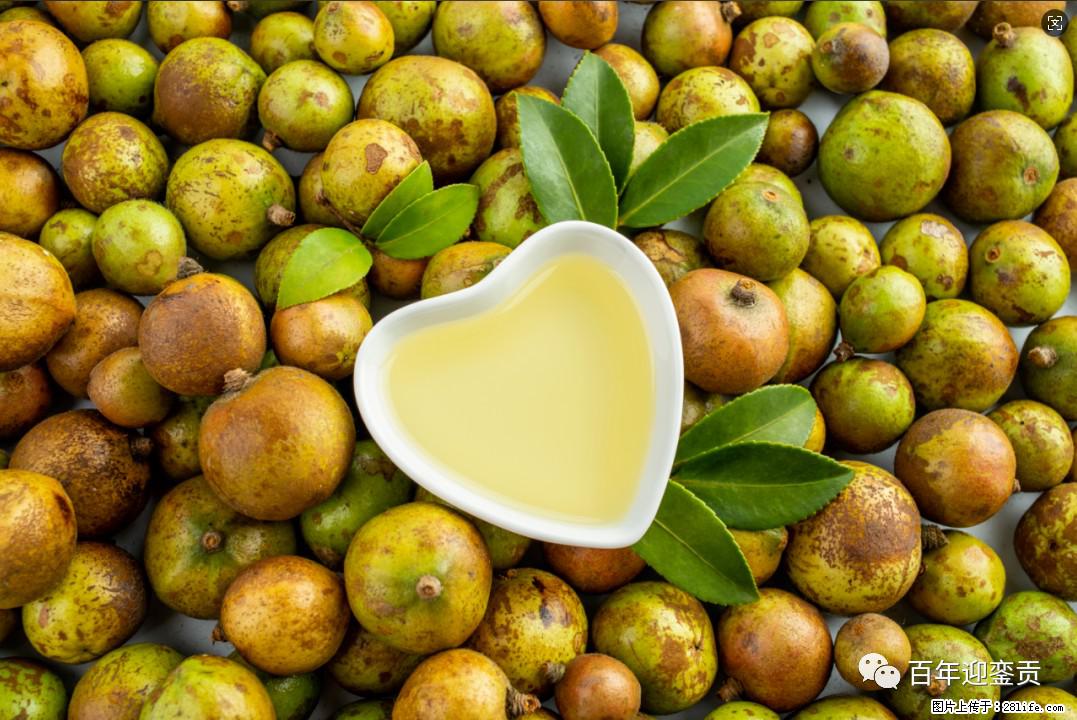 世界没有真相,只有认知,最好的食用油是中国的山茶油! - 衡阳生活资讯 - 衡阳28生活网 hy.28life.com