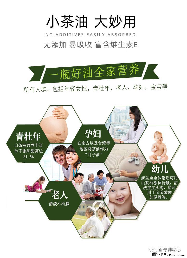 世界没有真相,只有认知,最好的食用油是中国的山茶油! - 衡阳生活资讯 - 衡阳28生活网 hy.28life.com