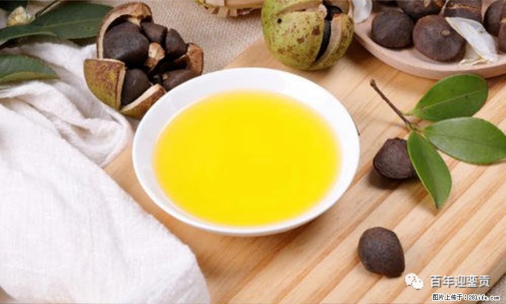 世界没有真相,只有认知,最好的食用油是中国的山茶油! - 衡阳生活资讯 - 衡阳28生活网 hy.28life.com