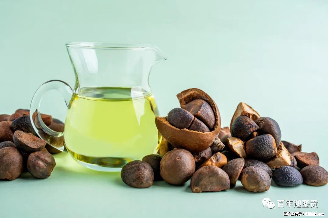 世界没有真相，只有认知，最好的食用油是中国的山茶油！ - 衡阳生活资讯 - 衡阳28生活网 hy.28life.com