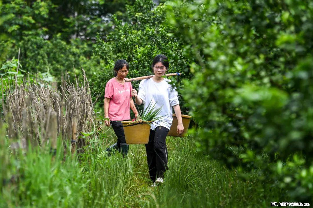 全网追的“扁担女孩”，找了一份暑假工，时薪12元 - 衡阳生活资讯 - 衡阳28生活网 hy.28life.com