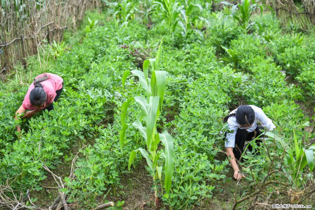全网追的“扁担女孩”，找了一份暑假工，时薪12元 - 衡阳生活资讯 - 衡阳28生活网 hy.28life.com