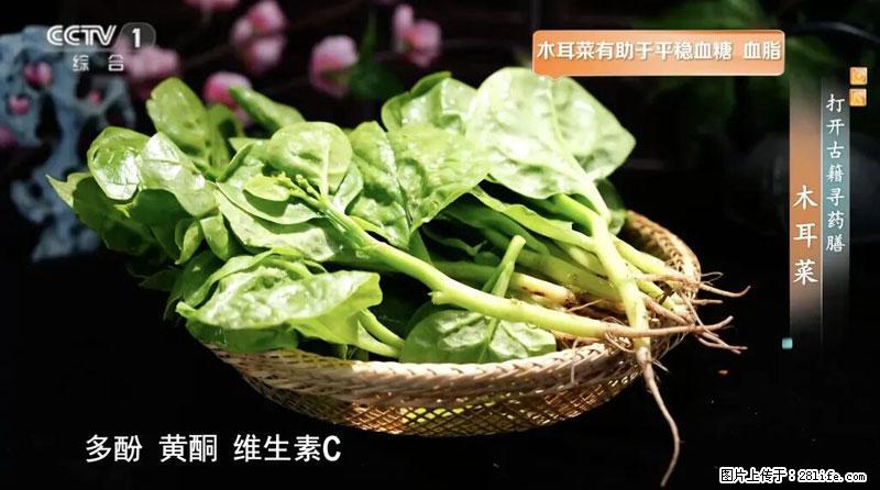 比牛奶补钙还厉害！凉血解毒、稳血糖...这菜冬天必吃，很多人却当草 - 衡阳生活资讯 - 衡阳28生活网 hy.28life.com