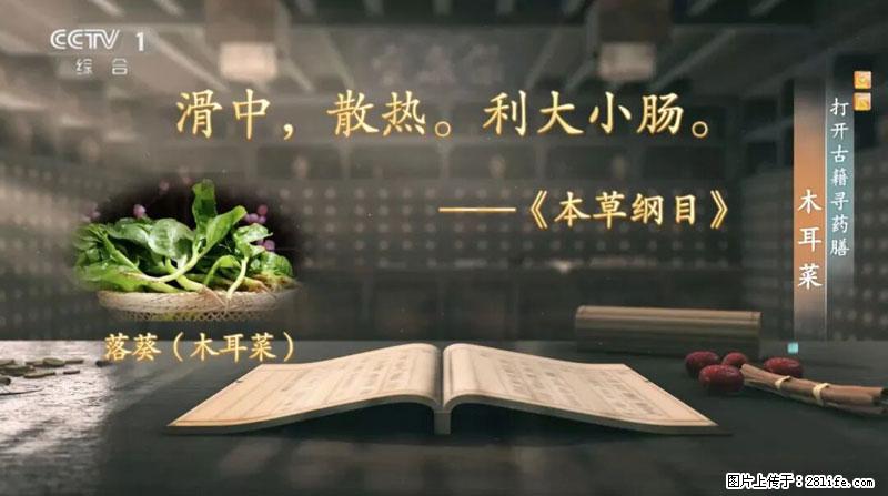 比牛奶补钙还厉害！凉血解毒、稳血糖...这菜冬天必吃，很多人却当草 - 衡阳生活资讯 - 衡阳28生活网 hy.28life.com