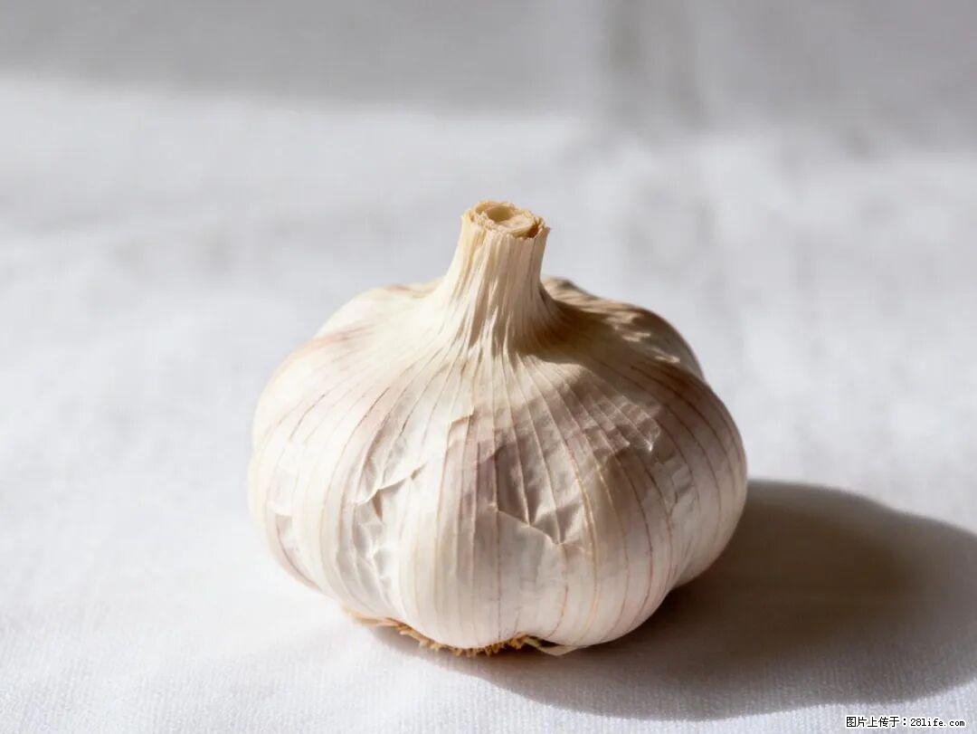 关于大蒜，除了“天然抗生素”，这4个谣言更该警惕! - 衡阳生活资讯 - 衡阳28生活网 hy.28life.com