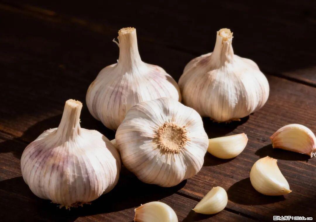 关于大蒜，除了“天然抗生素”，这4个谣言更该警惕! - 衡阳生活资讯 - 衡阳28生活网 hy.28life.com