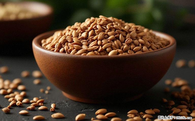 这三苦是三高“克星”，心血管干净不易堵！每天吃一点，指标慢慢降下来~ - 衡阳生活资讯 - 衡阳28生活网 hy.28life.com