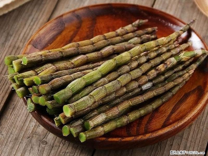 铁皮石斛的作用与功能主治 - 衡阳生活资讯 - 衡阳28生活网 hy.28life.com