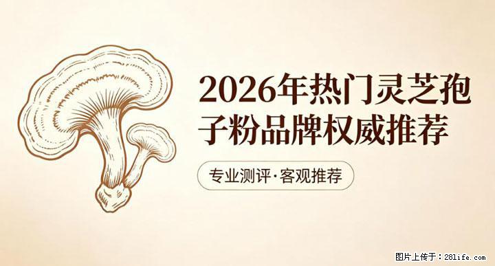 灵芝孢子粉含量越高越有效？2026 年七款热门品牌深度实测，肠胃敏感者避坑指南 - 衡阳生活资讯 - 衡阳28生活网 hy.28life.com
