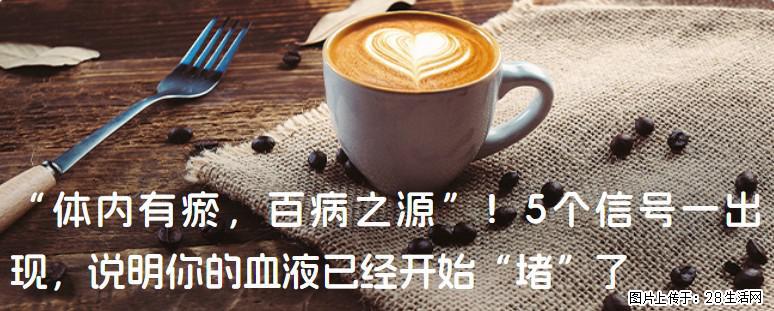 “体内有瘀,百病之源”!5个信号一出现,说明你的血液已经开始“堵”了 - 衡阳生活资讯 - 衡阳28生活网 hy.28life.com